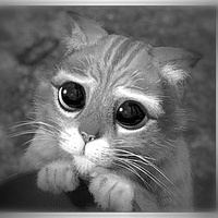 quelqu'un qui fait pitié